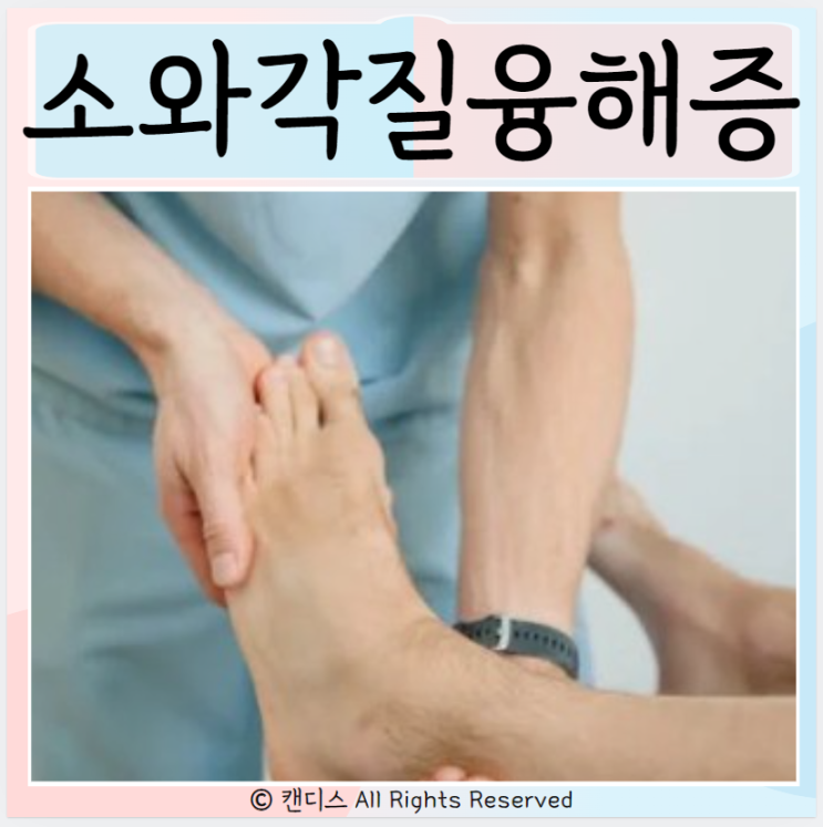  소와각질융해증 원인 검사 치료 증상