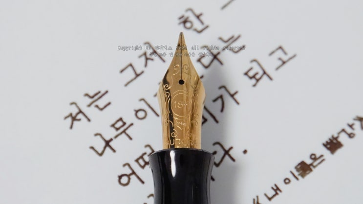  어떤 의미가 되고 싶습니다 (오로라 단테 F닙 만년필로 필사하기)