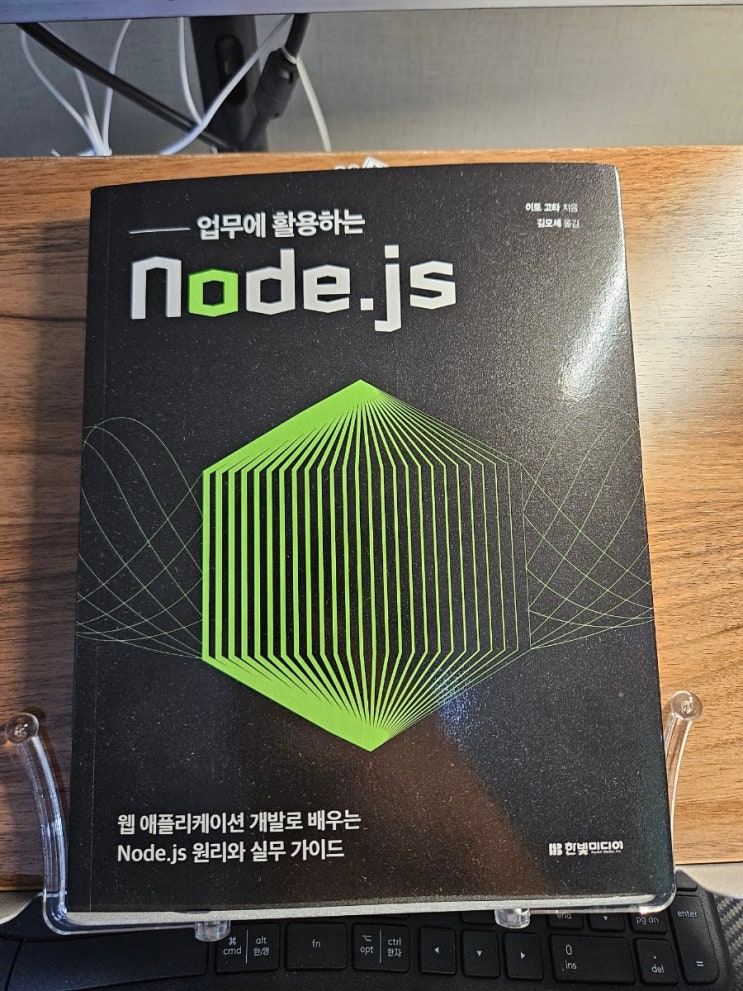  [서평] 업무에 활용하는 Node.js 이토 코타 지음 김모세 옮김 한빛미디어