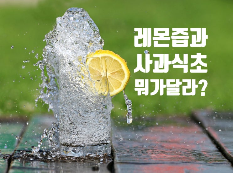  애사비(애플사이다비닝거)와 레몬즙의 차이는? 식초물먹는법 주의점 식초선택방법 .몸에좋은식초