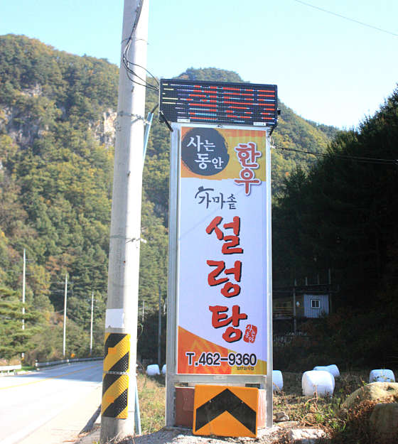 사는동안 사진 4