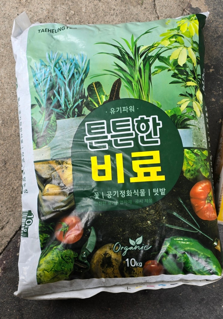  이마트 트레이더스 트리맘몰 튼튼한비료 - 대구 비산점 방문기