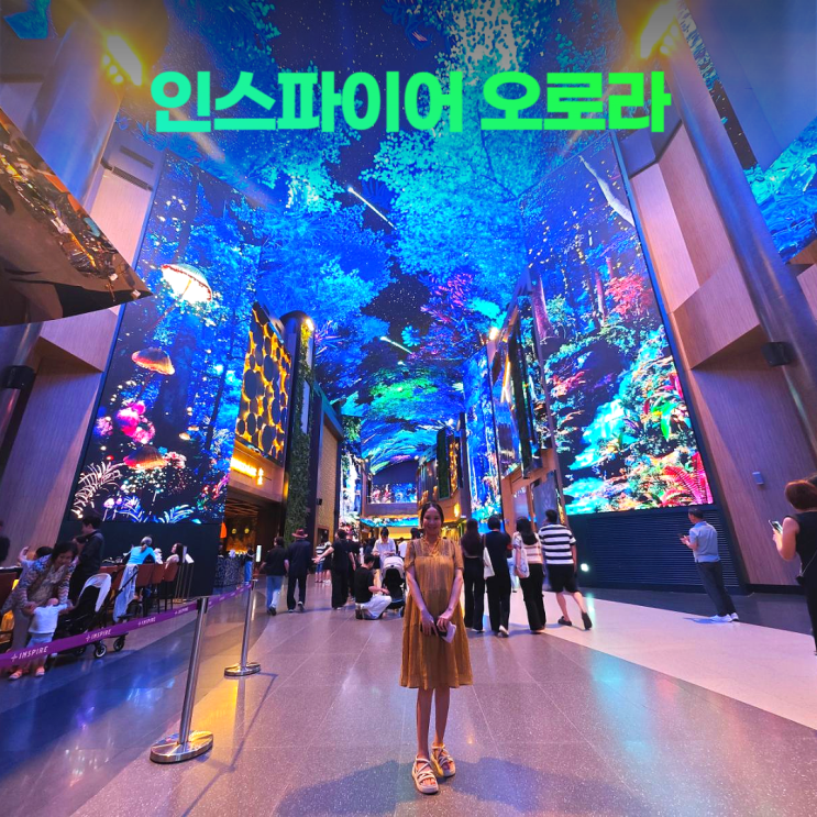 인스파이어 아레나 오로라 신비로운 고래 동영상(위치 주차) 인스파이어 아레나 오로라 신비로운 고래 동영상(위치 주차)