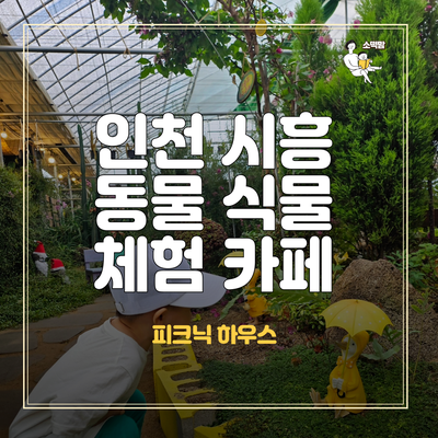  비 오는 날 시흥 근처 인천 아이와 갈만한 곳 동물 체험하는 피크닉하우스