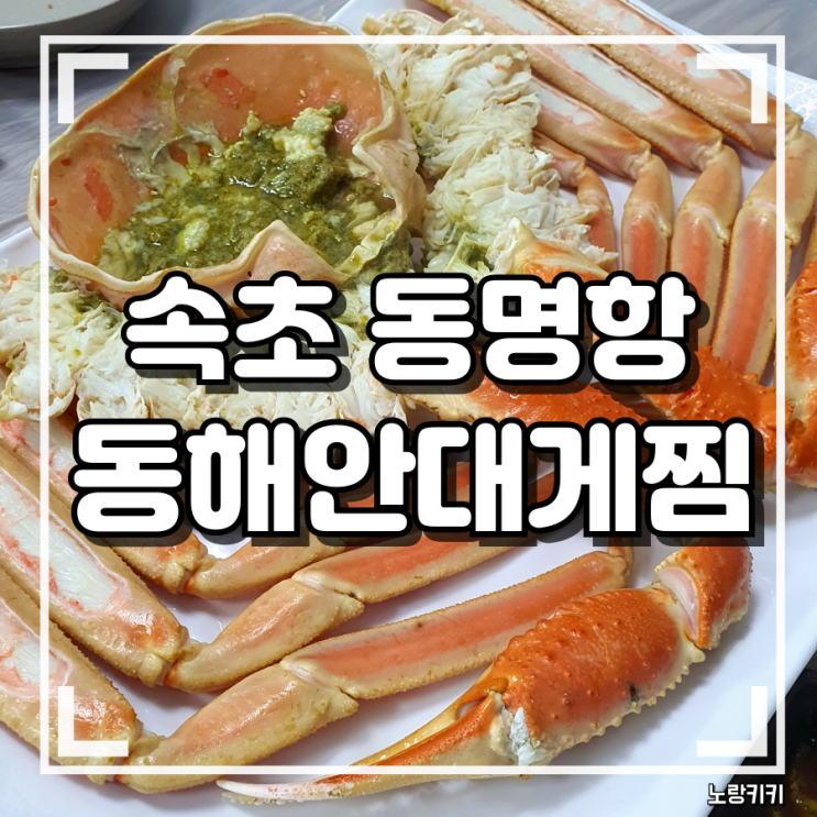 속초 동명항 대게 맛집 동해안대게찜 솔직후기 속초 동명항 대게 맛집 동해안대게찜 솔직후기