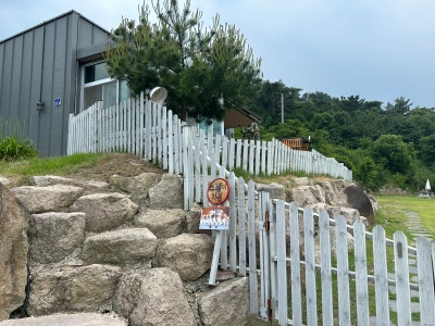 사진 3