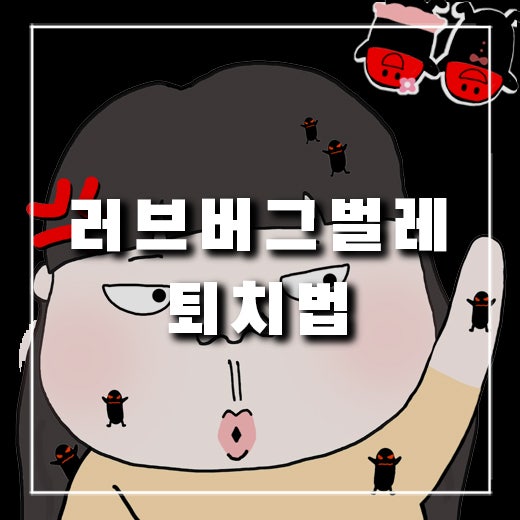  [생활 정보] 요즘 날아 다니는 벌레, 러브버그(Lovebug) 퇴치법