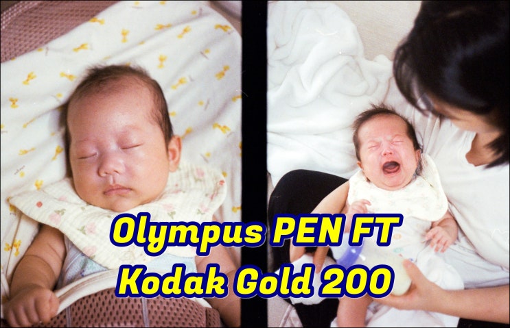  올림푸스 PEN FT |  코닥골드200 (Kodak Gold 200) | 생후 100일된 귀여운 팔삭둥이 필름사진 하프카메라