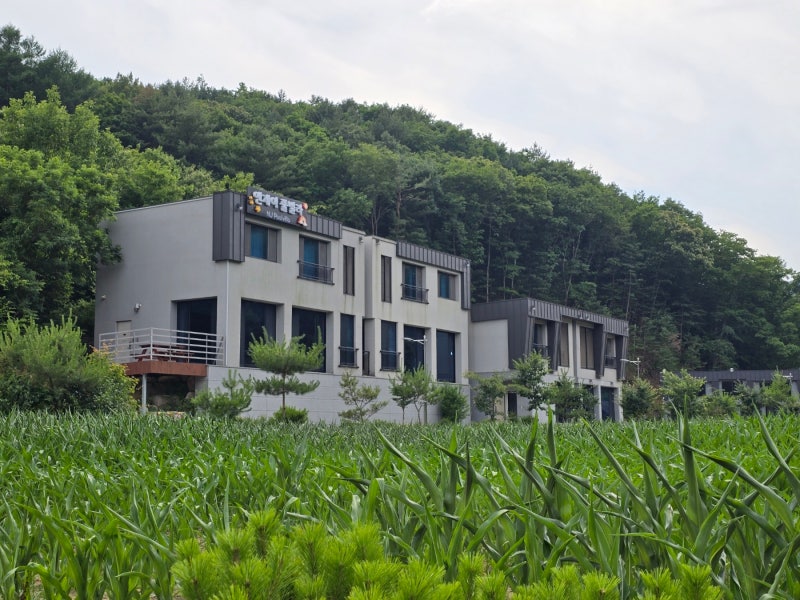 사진 3