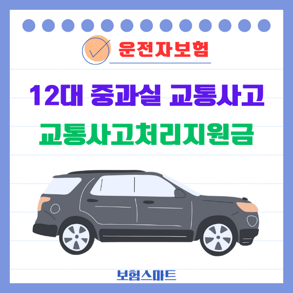  (스마트 운전) 반의사불벌죄 적용되지 않는 12대 중과실 사고, 교통사고처리지원금 특약 (형사합의금) 보장 대비, 보험금 지급사유, 운전자보험
