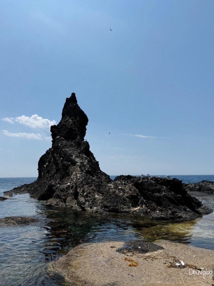  울릉도여행 지구놀이터 2일차 (독도, 독도반점, 봉래폭포, 독도일출전망대케이블카, 천부해중전망대, 카페울라, 오징어회타운 만금물산)