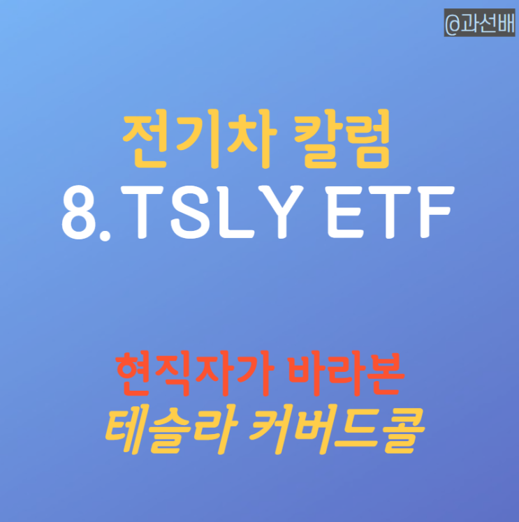  현직자가 본 TSLY 주가 전망과 배당 정보