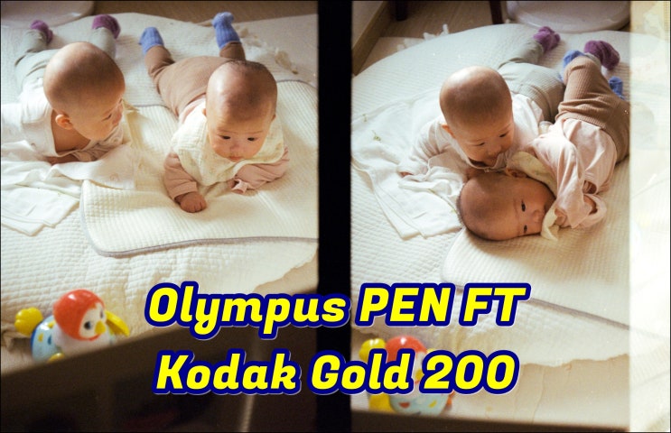  올림푸스 펜 PEN FT | 코닥 골드 200 (Kodak Gold 200) | 생후 100일 팔삭둥이 쌍둥이 일상을 담은 하프필름사진 
