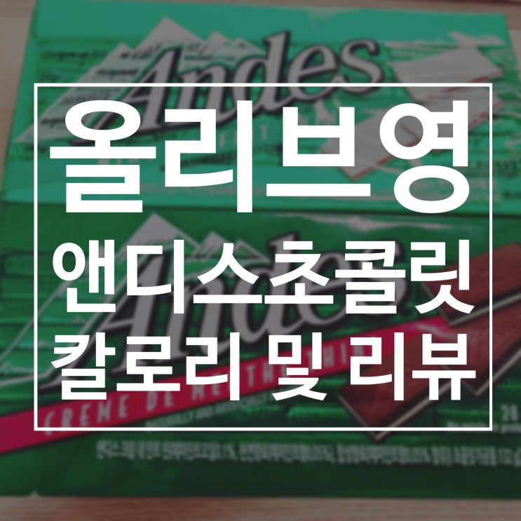  앤디스초콜릿 민트 맛 올리브영 1+1 구매 후기 :)