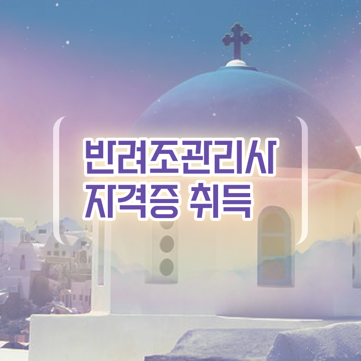  모란앵무 분양 , 반려조관리사 자격증 직장인도 쉽게 취득한 노하우 및 취업