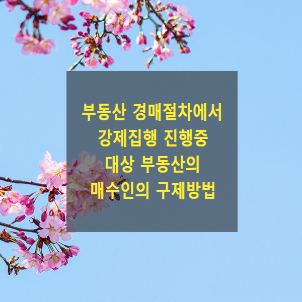  부동산 경매절차에서 강제집행 진행중 대상 부동산의 매수인(제3취득자)의 구제방법