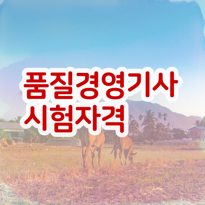  품질경영기사 교재 품질경영기사 시험응시조건 온라인 수업으로 쉽고 빠르게 끝낸 전략
