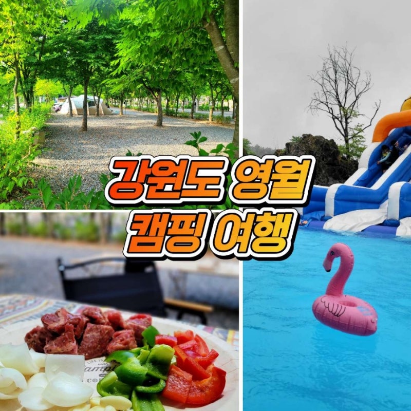사진 3