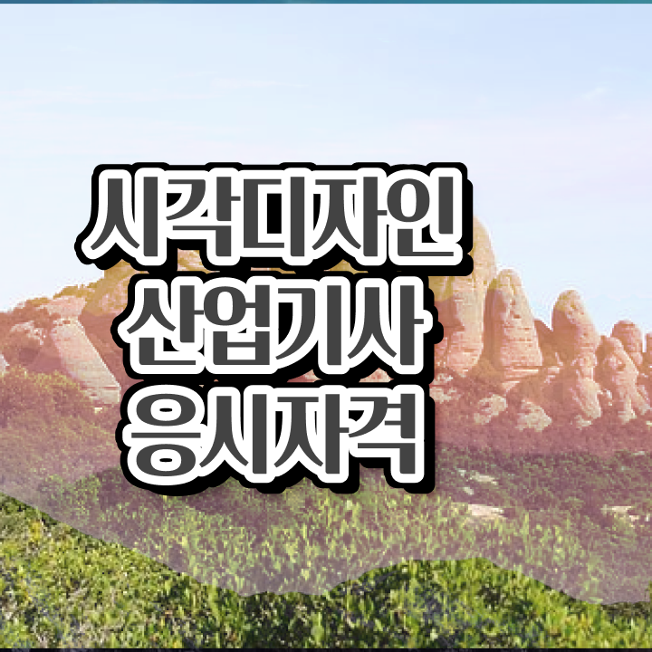  시각디자인산업기사 필기시험 준비물 시각디자인산업기사 자격요건 독학으로 1학기에 끝낸 노하우