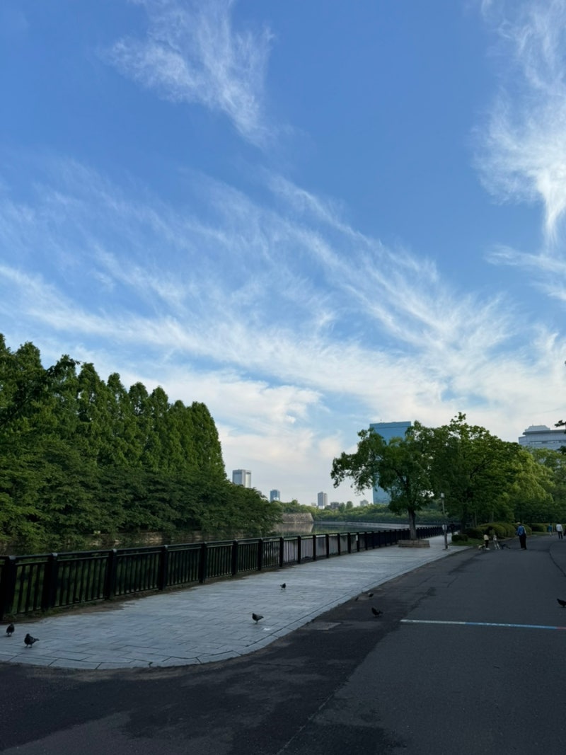 해외여행가서 러닝하기 / 오사카 러닝코스 추천 오사카성 달리기 후기 : 네이버 블로그