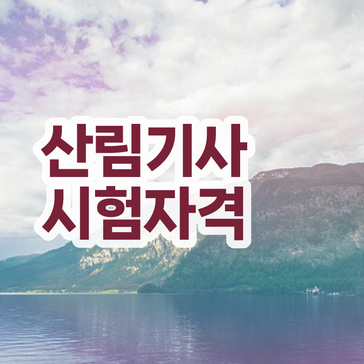  산림기사 자격증 산림기사 시험자격 온라인으로 1학기 만에 끝낸 후기