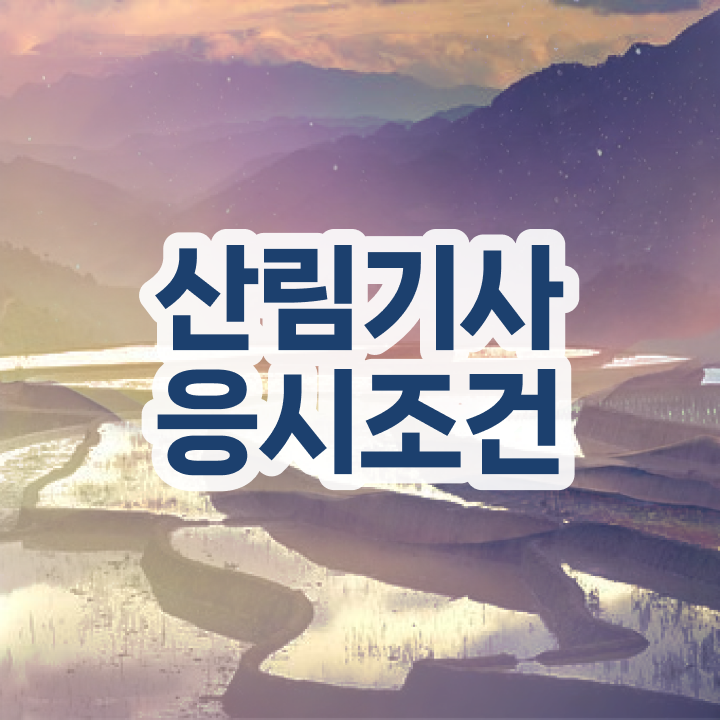  2024 산림기사 산림기사 자격요건 인강으로 5달만에 준비한 전략