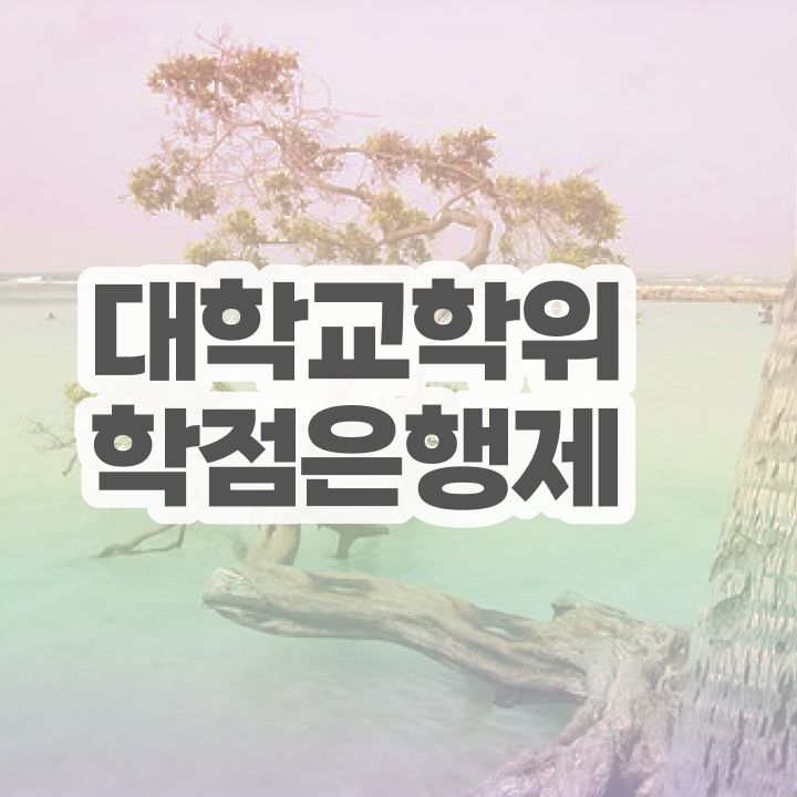  학점은행제 경영학 인강으로 학점따서 준비한 과정