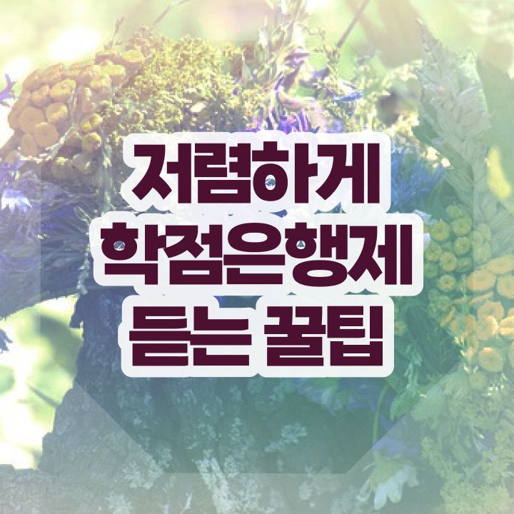  학점은행제 등록금 학점은행제 학위 인강만 듣고 손쉽게 준비하는 방법