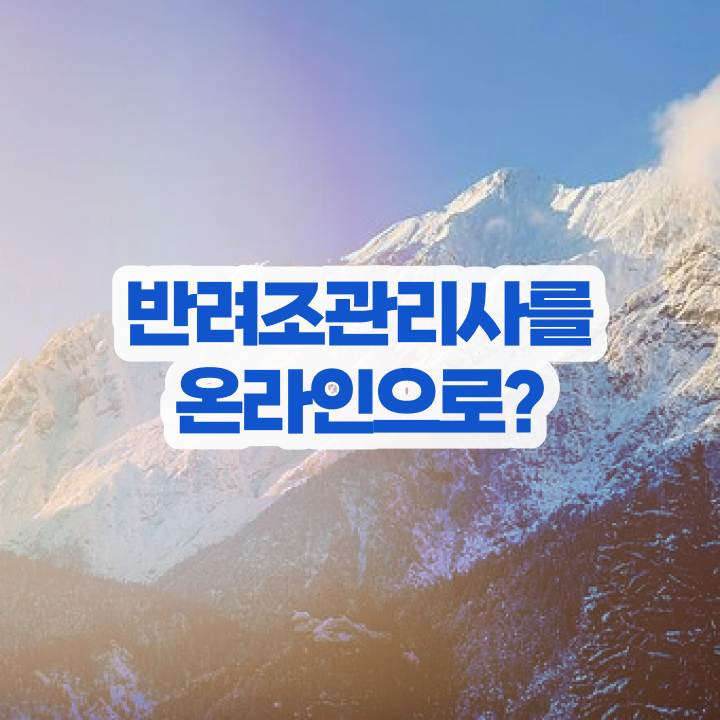 앵무새 지능 , 반려조관리사 자격증 비용없이 온라인으로 준비한 과정 및 고용 전망