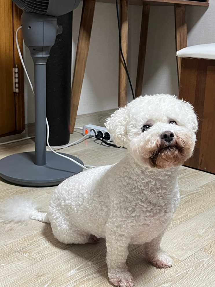  블챌시작