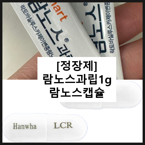  람노스 캡슐 과립 / 정장제 유산균 락토바실루스 효과 복용법 부작용