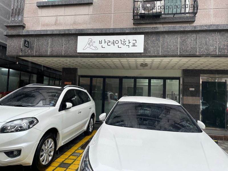 사진 6
