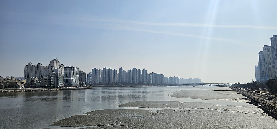 논고개식당 사진 6