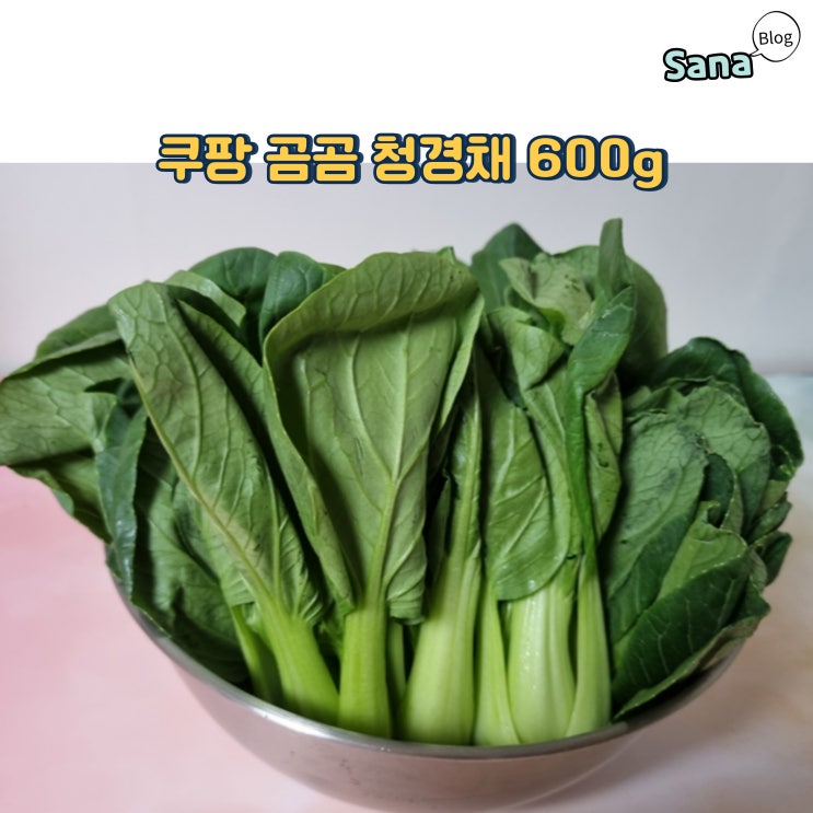  크고 신선한 포기가 14개 쿠팡 곰곰 청경채 600g