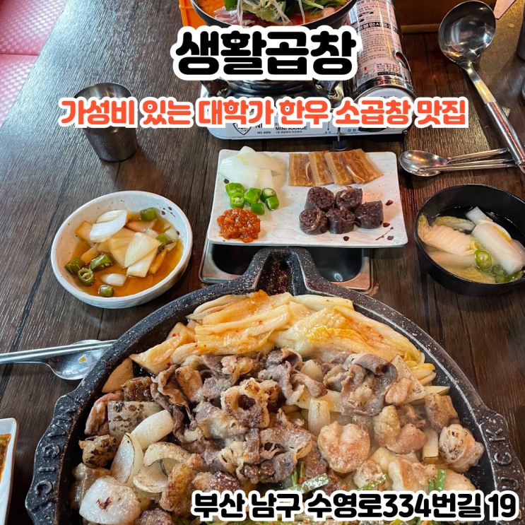  부산INFJ의 맛집여행 - [부산 경성대] 생활곱창 : 대학가에서 가성비 있게 즐길 수 있는 경성대, 부경대 한우 양곱창 맛집