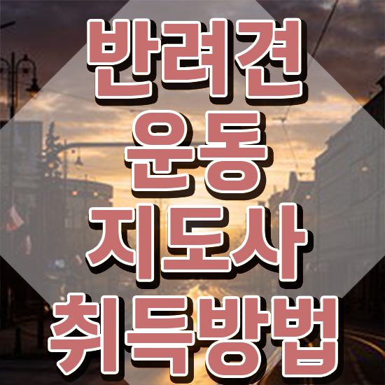 40대후반자격증 , 반려견운동지도사 고졸 비전공자도 최단기간 끝내는 방법