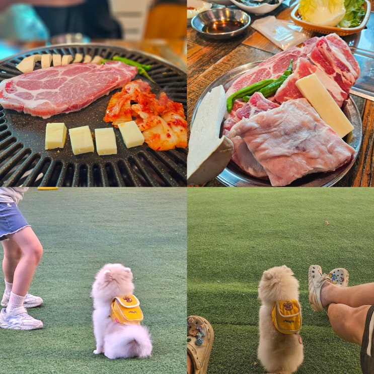  일산 애견동반 식당 - 견애가 (뼈목살,통가브리살,생갈비와 함께 애견운동장이 있는 식당)
