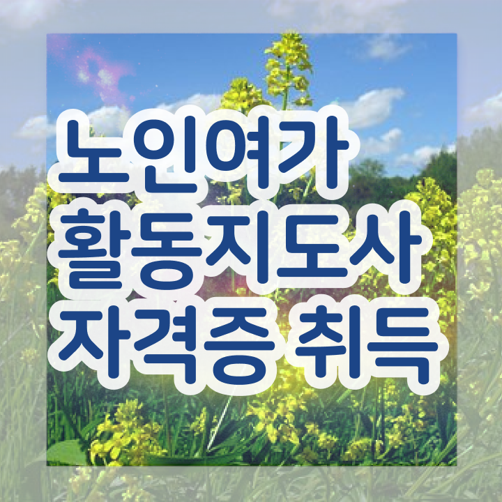  노인여가 프로그램 , 노인여가활동지도사자격증 한달 만에 합격 후기 알아보기