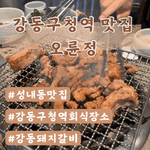  강동구청역 맛집 오륜정 돼지갈비