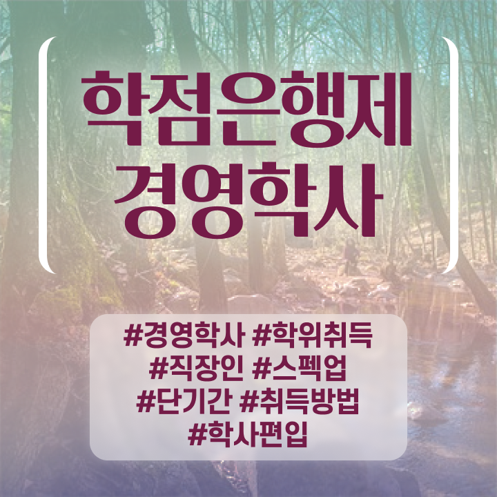  사이버대학교 경영학과 , 경영학과 학은제로 조건없이 손쉽게 성공한 팁
