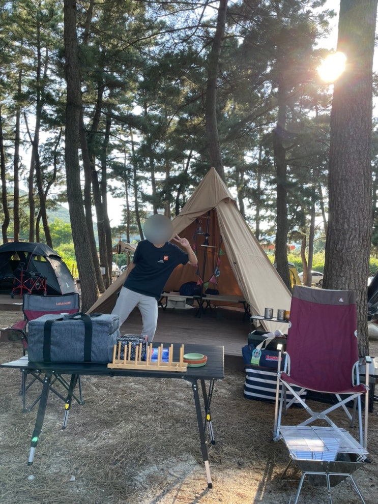  스페셜포토덤프 인생 첫캠핑 다녀왔던 어느여름 북분솔밭캠핑장