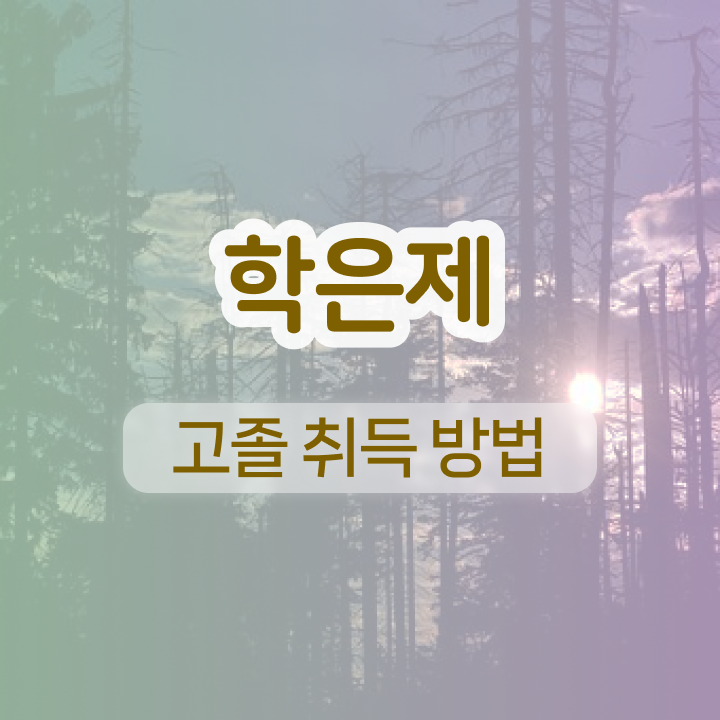  학점은행제 교육기관 관련학과 졸업장 없어도 성공할 수 있어요