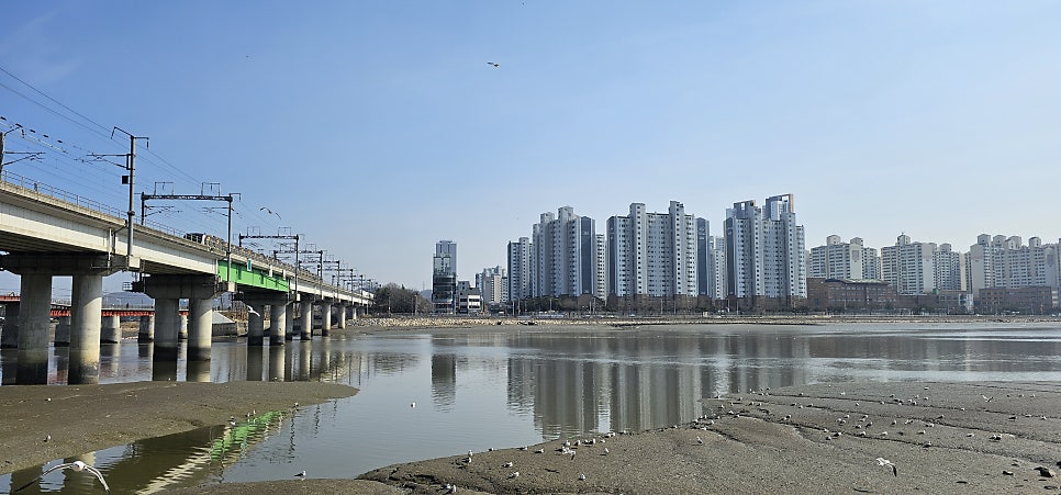 논고개식당 사진 3