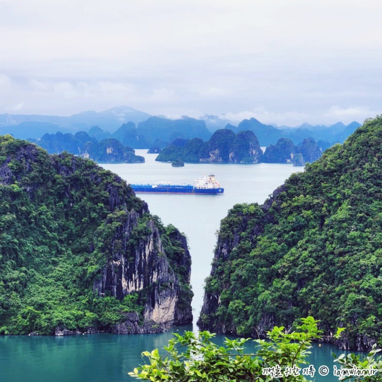 베트남 하롱베이 크루즈 투어 : 티톱섬 전망대 Ti Tốp Đỉnh núi Đảo (Ti Top island) 베트남 하롱베이 크루즈 투어 : 티톱섬 전망대 Ti Tốp Đỉnh núi Đảo (Ti Top island)