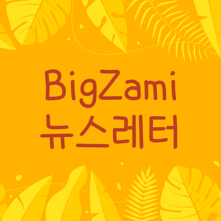  뉴스레터 [빅재미 주간소식 2024.6.20]