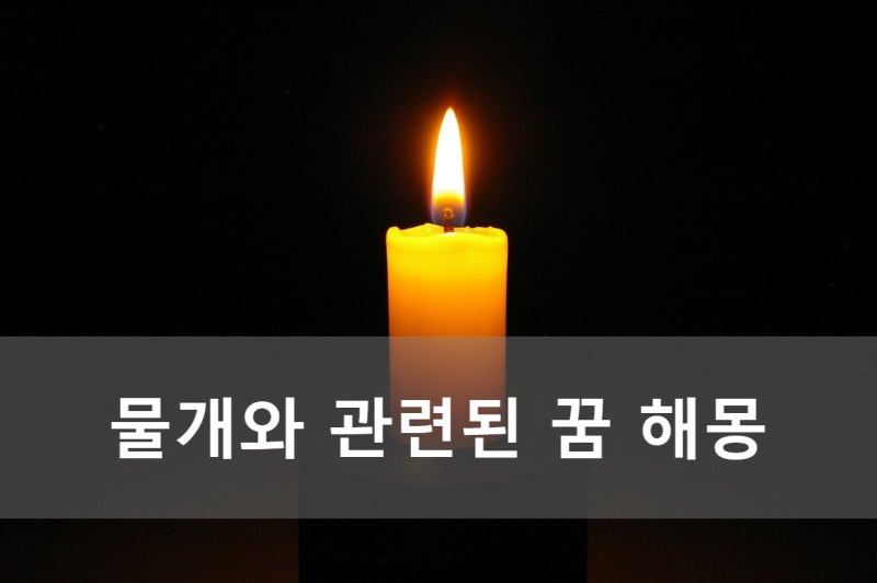 물개와 관련된 꿈 해몽