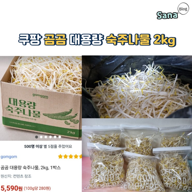  쿠팡 곰곰 대용량 숙주나물 2kg로 건강한 식사하기