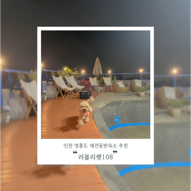 사진 4