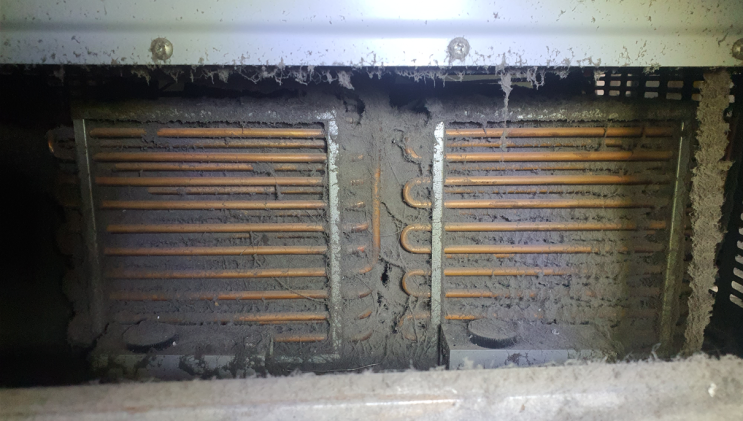  Deep Freezer 수리 (Thermo - Forma 포마 딥프리저 수리)