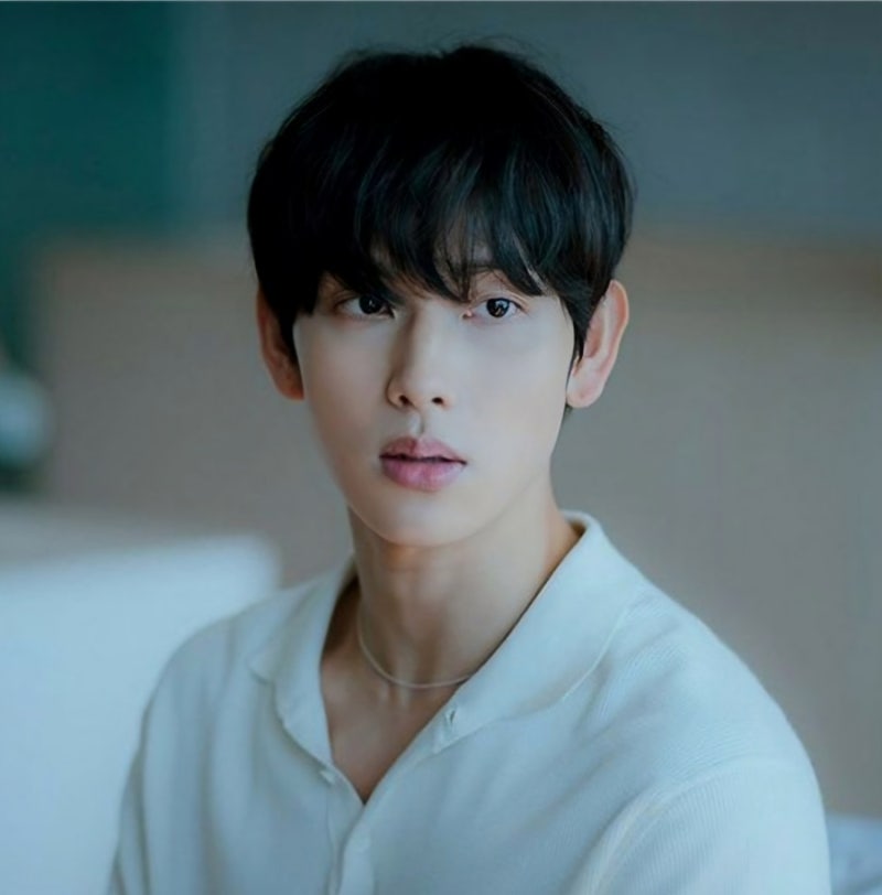 임시완사주 귀여운 백호